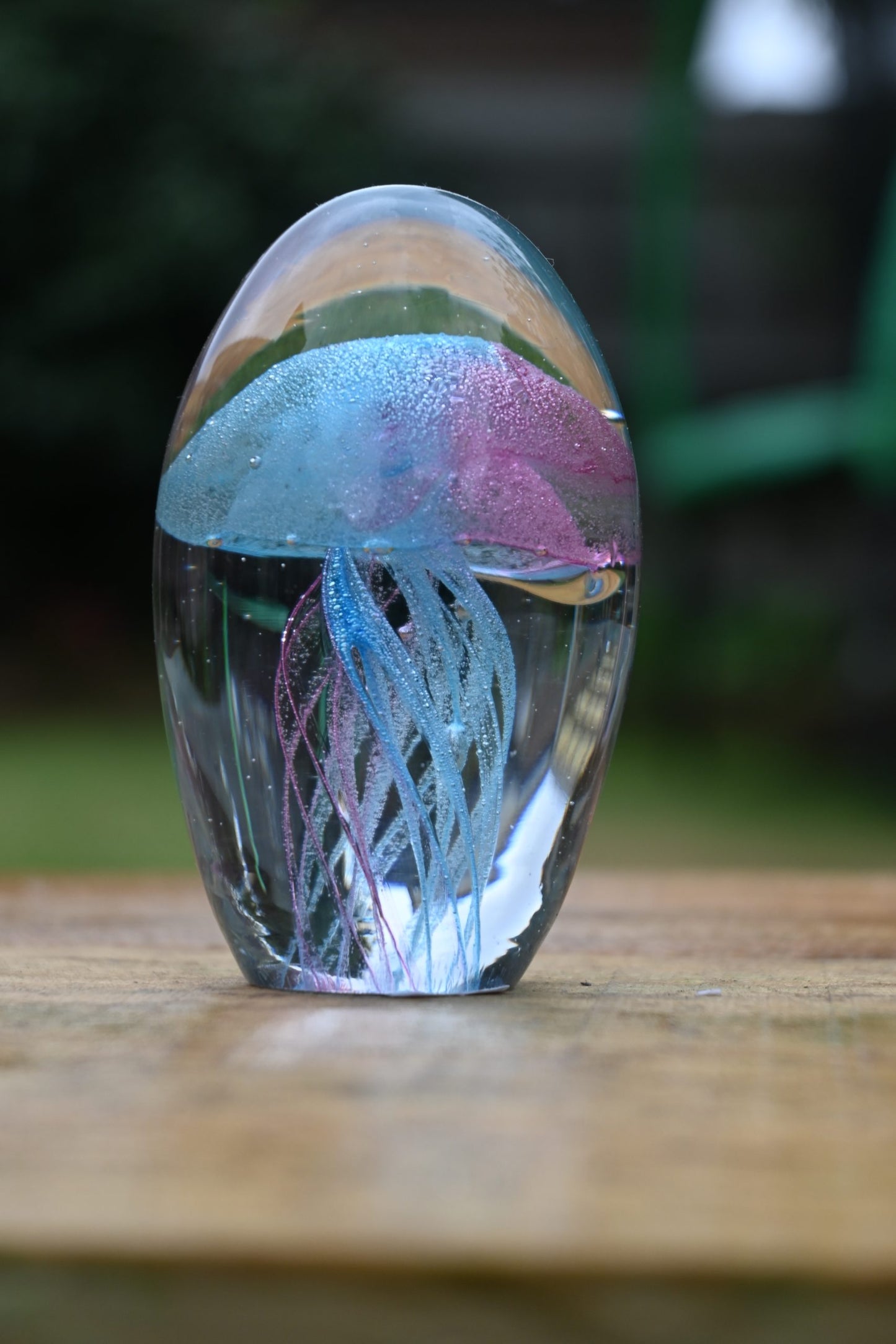 Jelly PW-Pink & Light Blue (Glows in Dark)