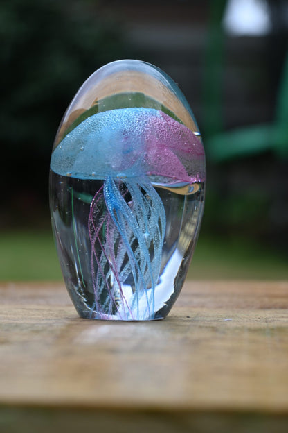 Jelly PW-Pink & Light Blue (Glows in Dark)