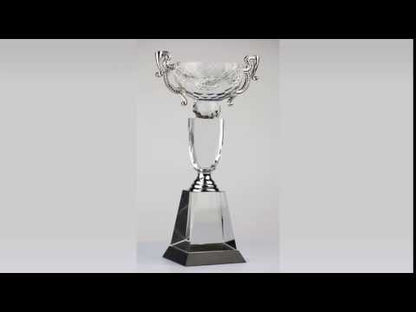 Crystal Cup