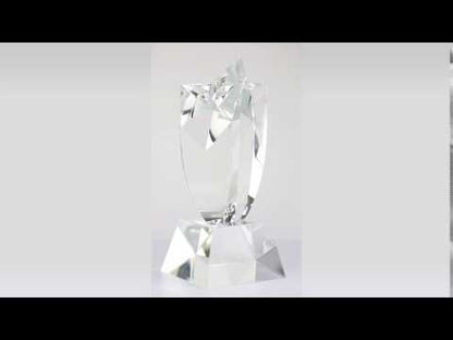Mega Star Trophy